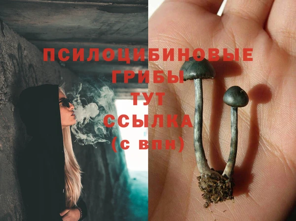 мескалин Алексин