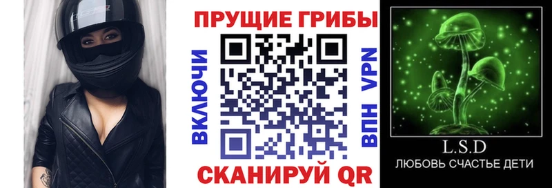 Псилоцибиновые грибы прущие грибы Ардатов